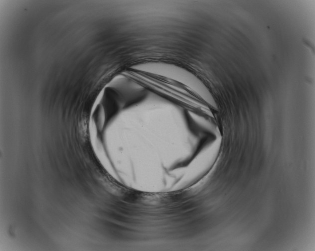 X0000095130190200801041255