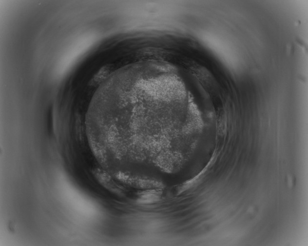 X0000095130191200801041256