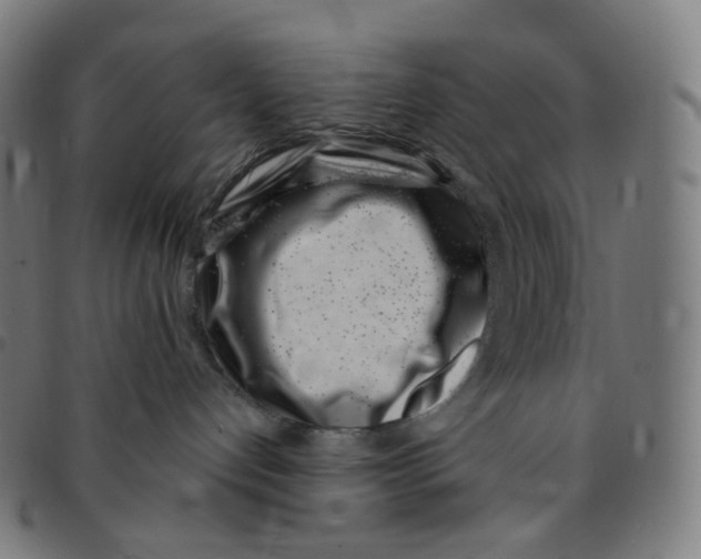 X0000095130192200801041256