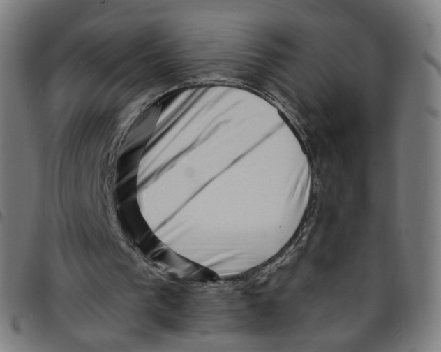 X0000095130193200801041255