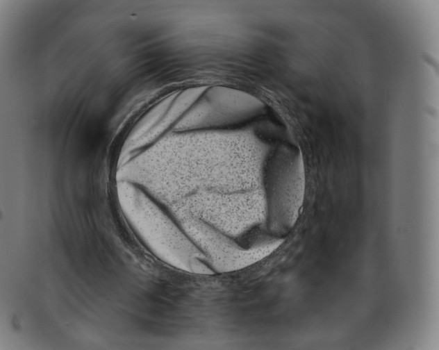 X0000095130194200801041255