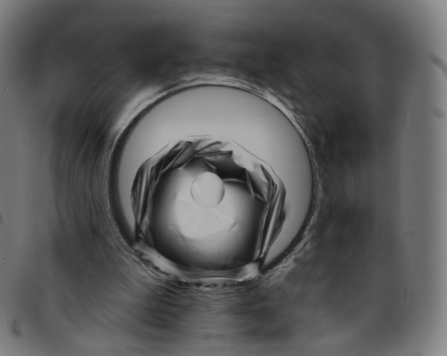 X0000095130199200801041255