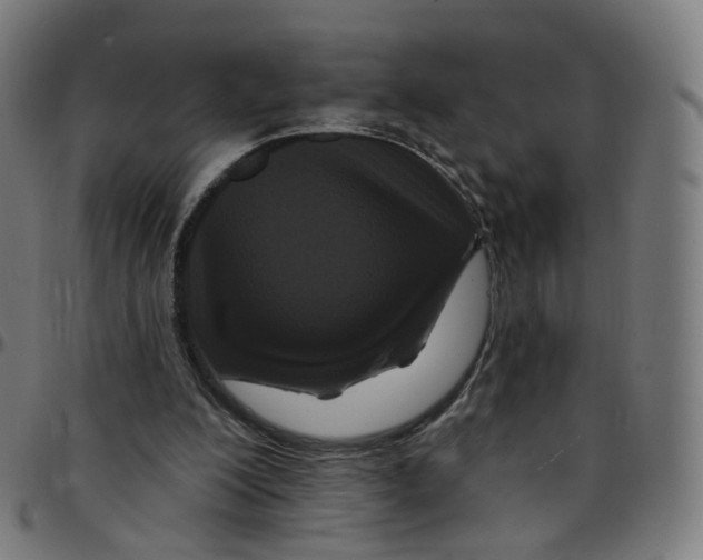 X0000095130200200801041255