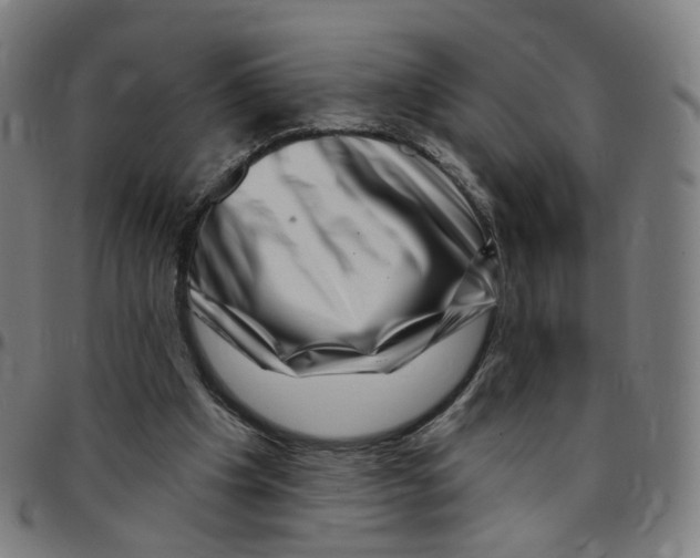 X0000095130201200801041254