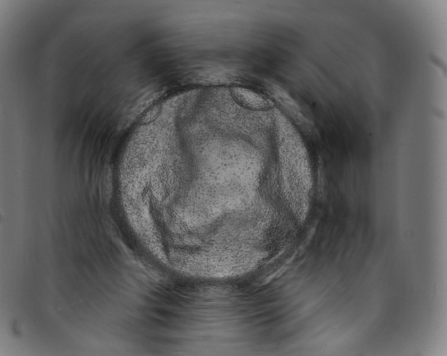 X0000095130202200801041254