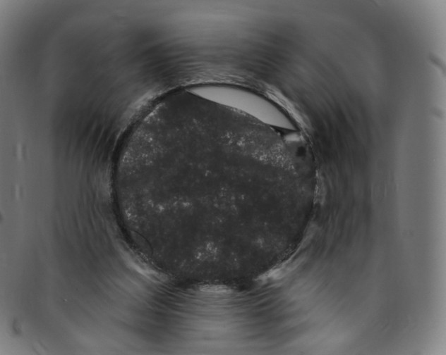 X0000095130203200801041254