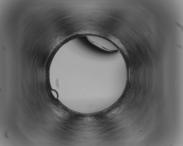 X0000095130204200801041254