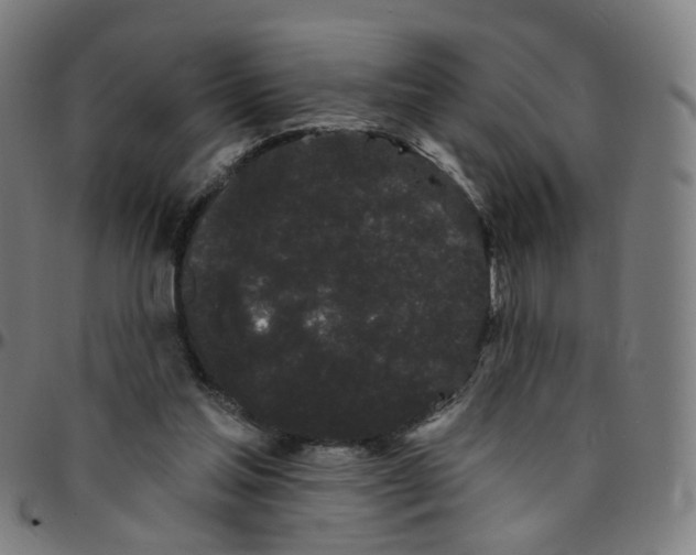 X0000095130205200801041254