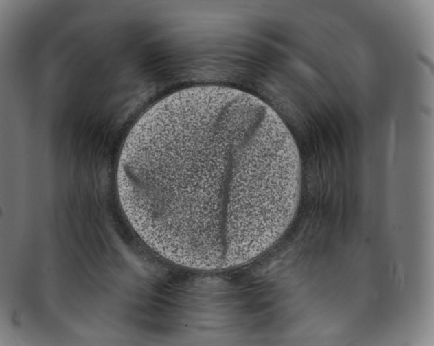 X0000095130208200801041254