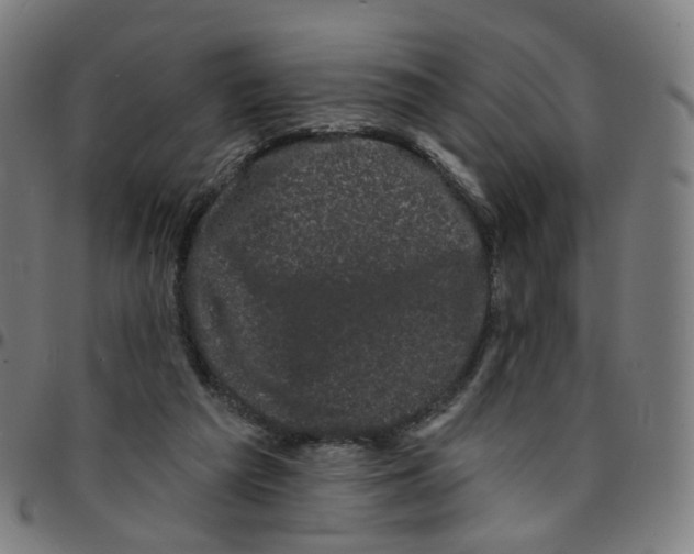 X0000095130209200801041254