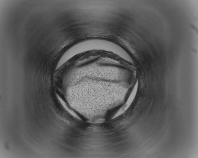 X0000095130211200801041254