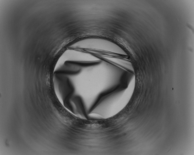 X0000095130212200801041254