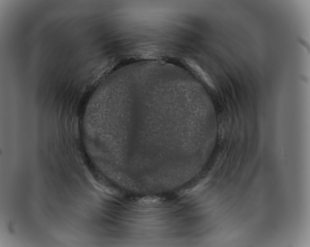 X0000095130213200801041254