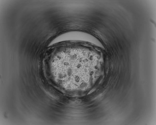 X0000095130215200801041254