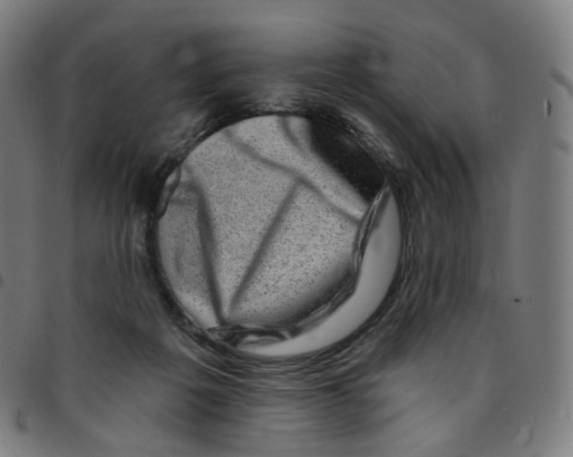 X0000095130217200801041254