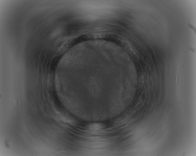 X0000095130218200801041254