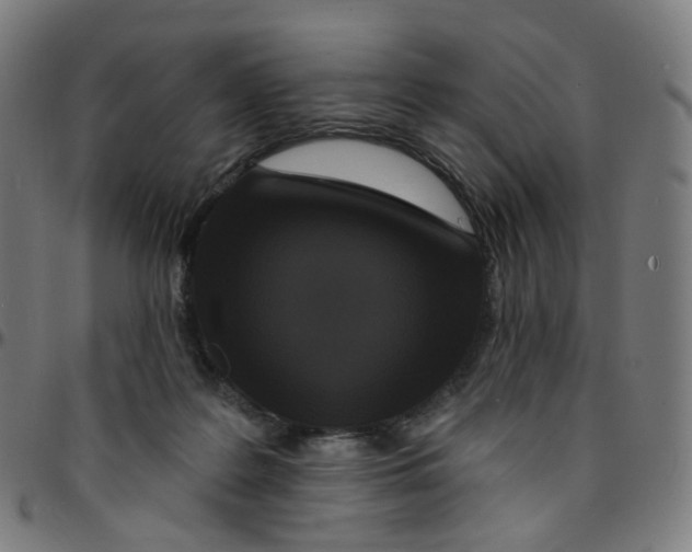 X0000095130219200801041254