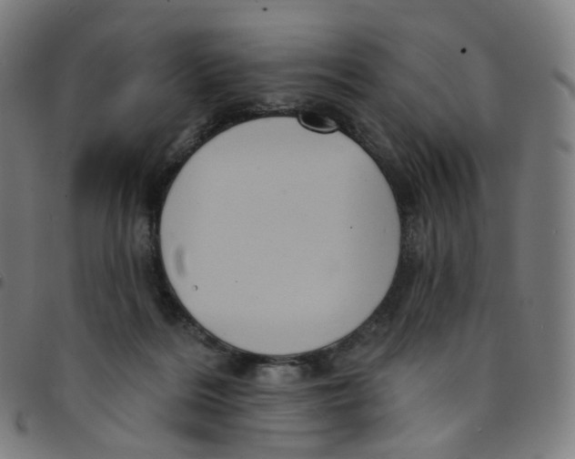 X0000095130220200801041254