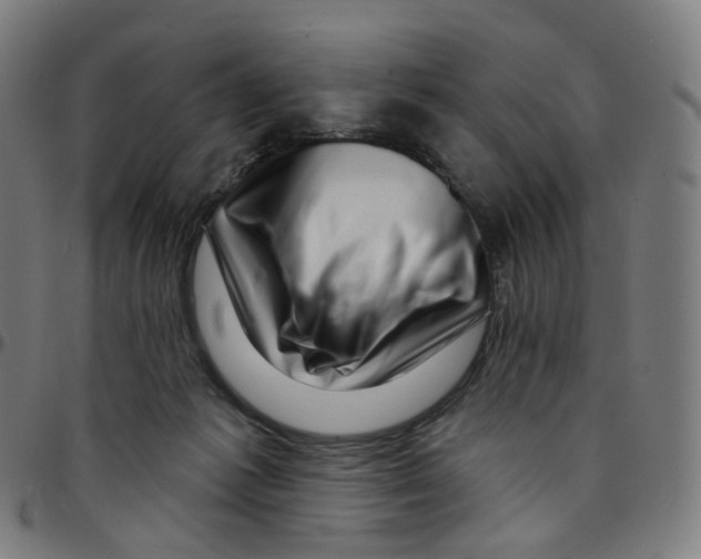 X0000095130221200801041254