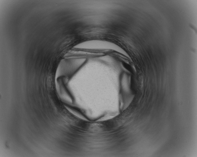 X0000095130222200801041254