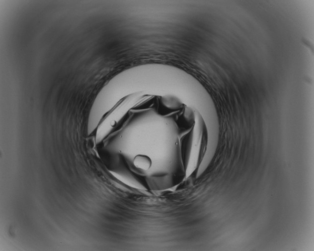 X0000095130223200801041254