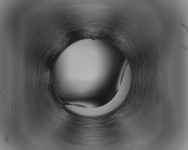 X0000095130224200801041254