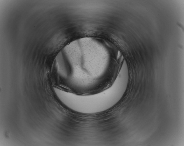 X0000095130225200801041254