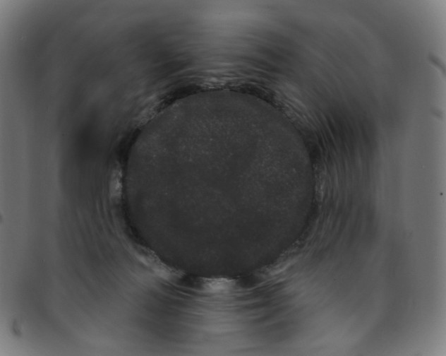 X0000095130226200801041254