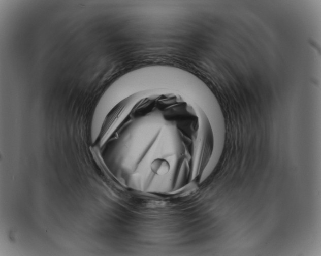 X0000095130227200801041254