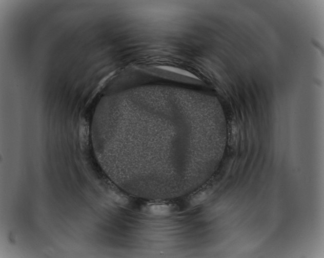 X0000095130228200801041254