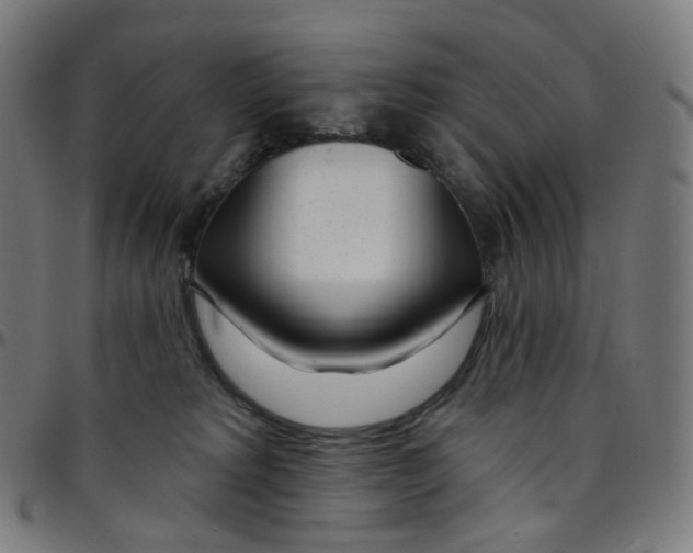 X0000095130229200801041254