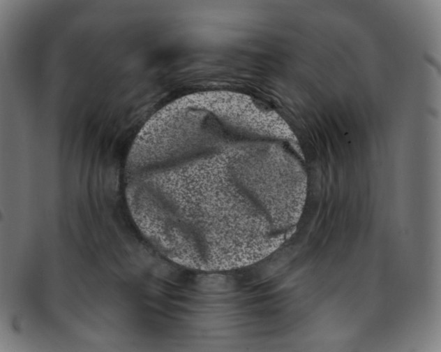 X0000095130230200801041254