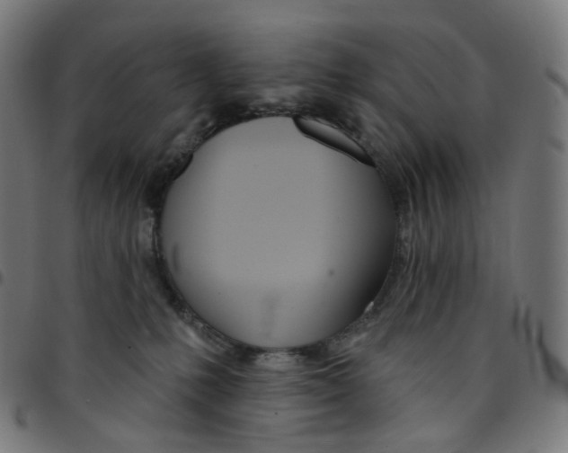 X0000095130231200801041254