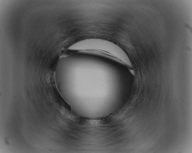 X0000095130233200801041254