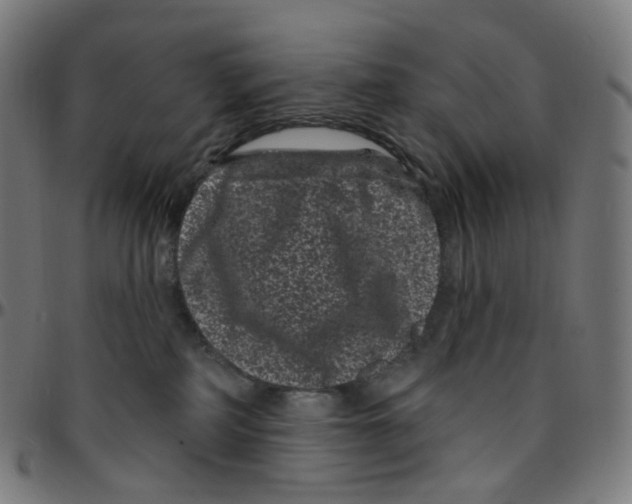 X0000095130234200801041254