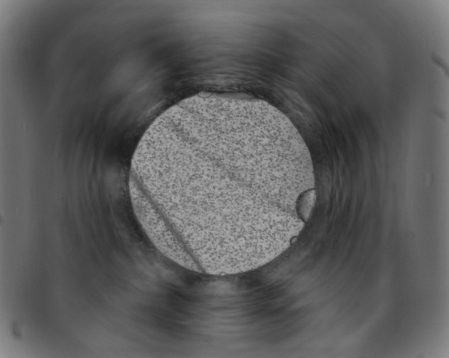 X0000095130236200801041254