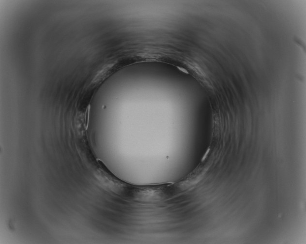 X0000095130237200801041254