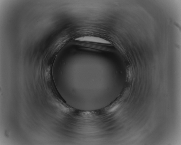 X0000095130239200801041254