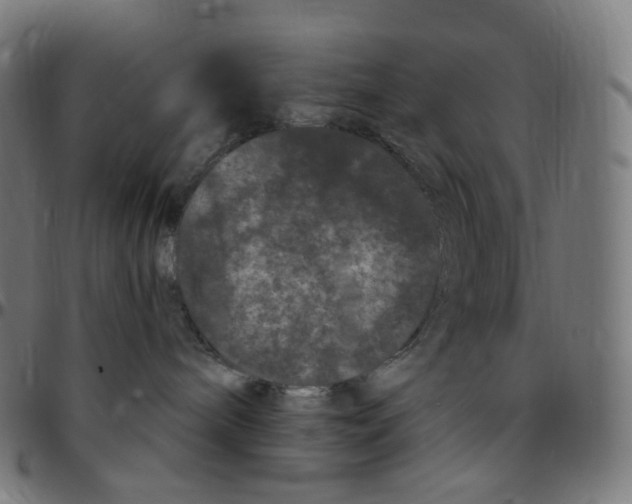 X0000095130240200801041254