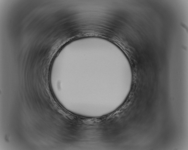 X0000095130241200801041253