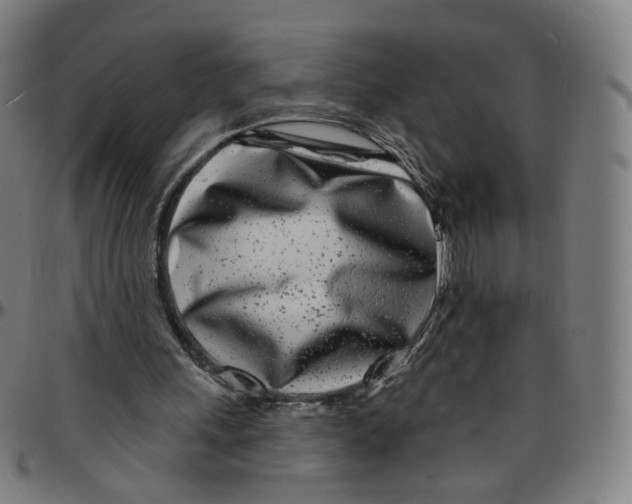 X0000095130243200801041253