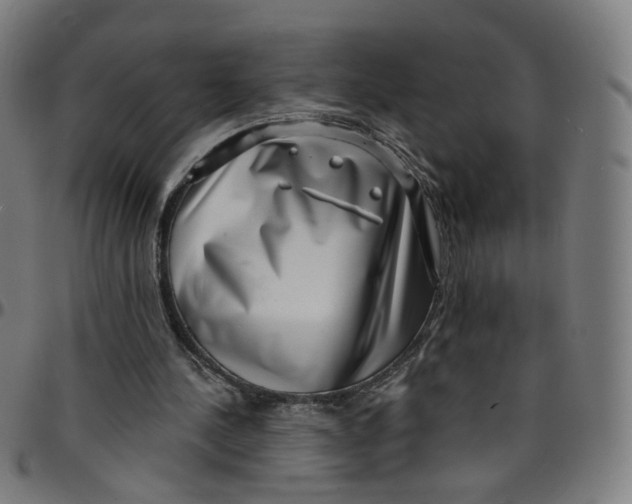 X0000095130244200801041253