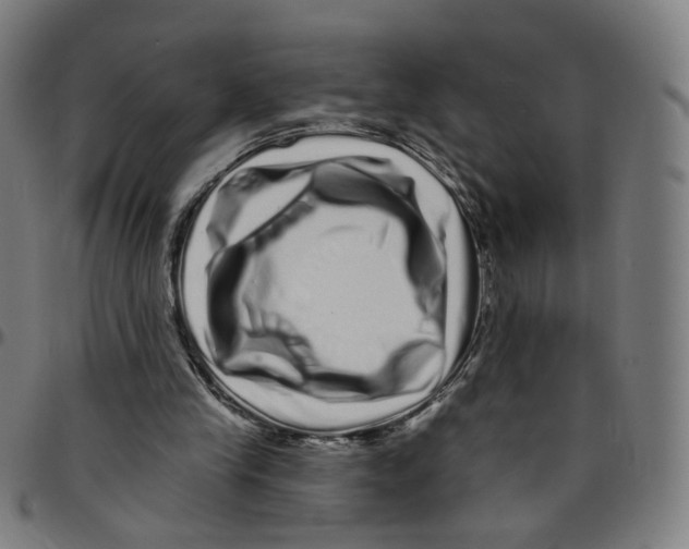 X0000095130245200801041253