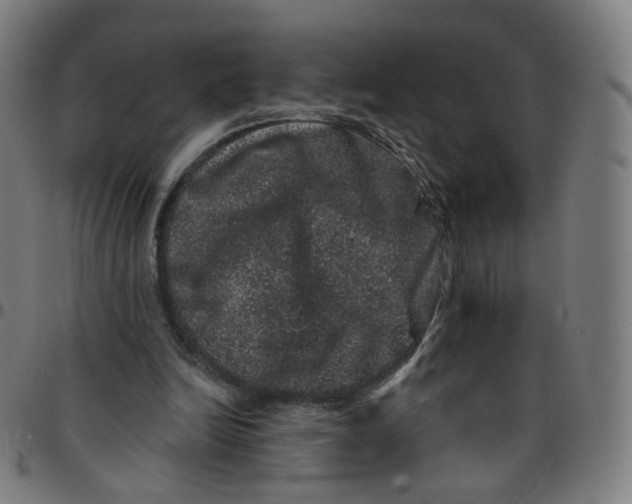 X0000095130246200801041253