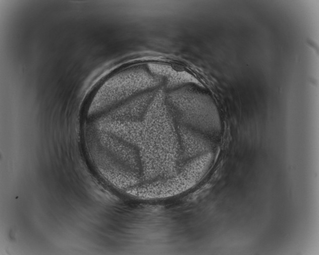 X0000095130247200801041253