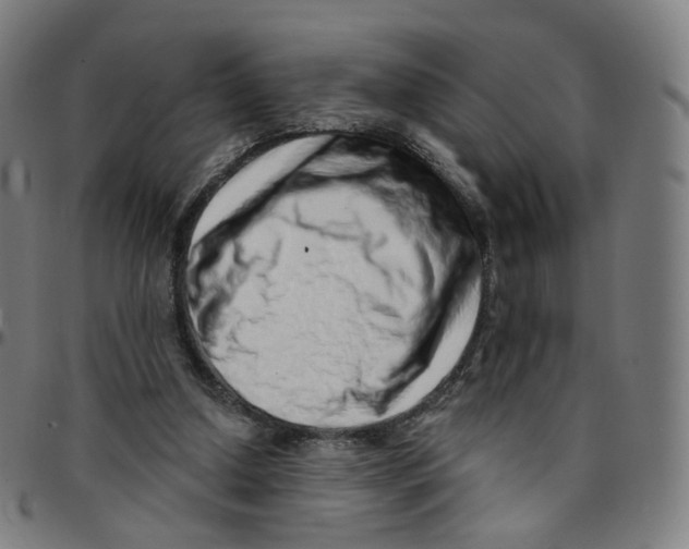 X0000095130250200801041253