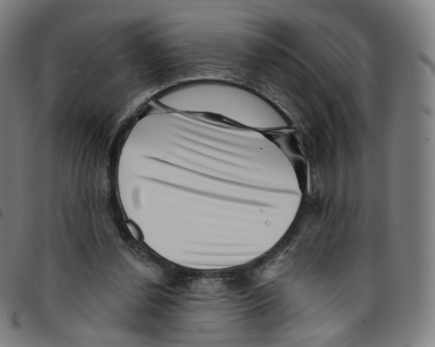 X0000095130252200801041253