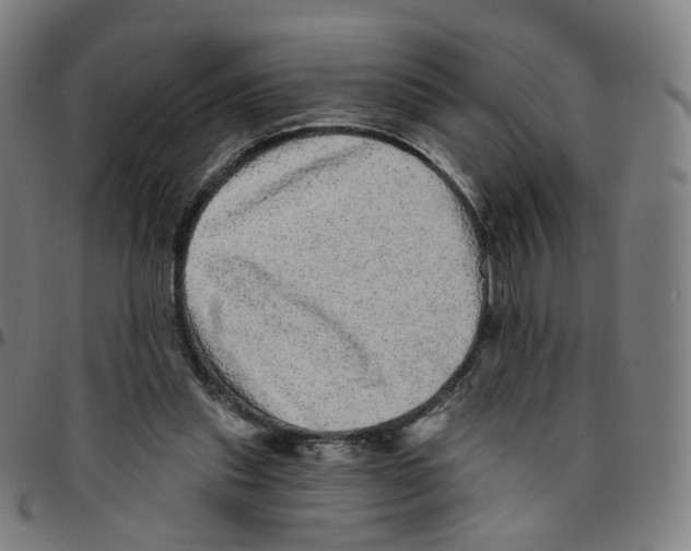 X0000095130253200801041253