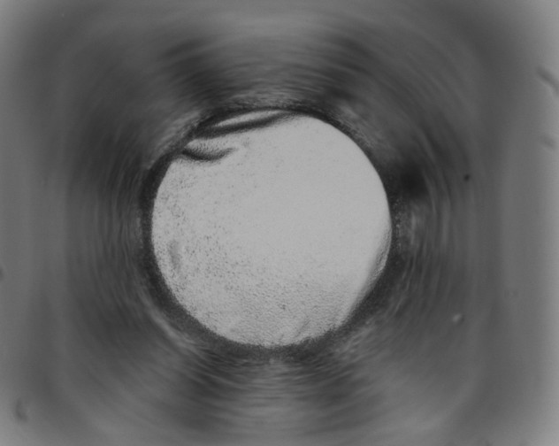 X0000095130254200801041253