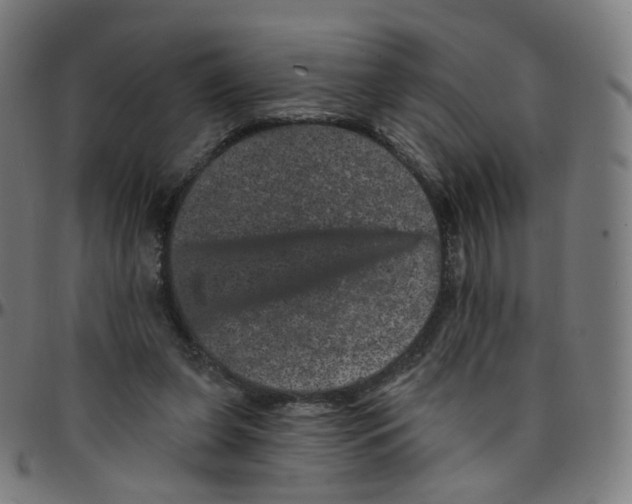 X0000095130255200801041253